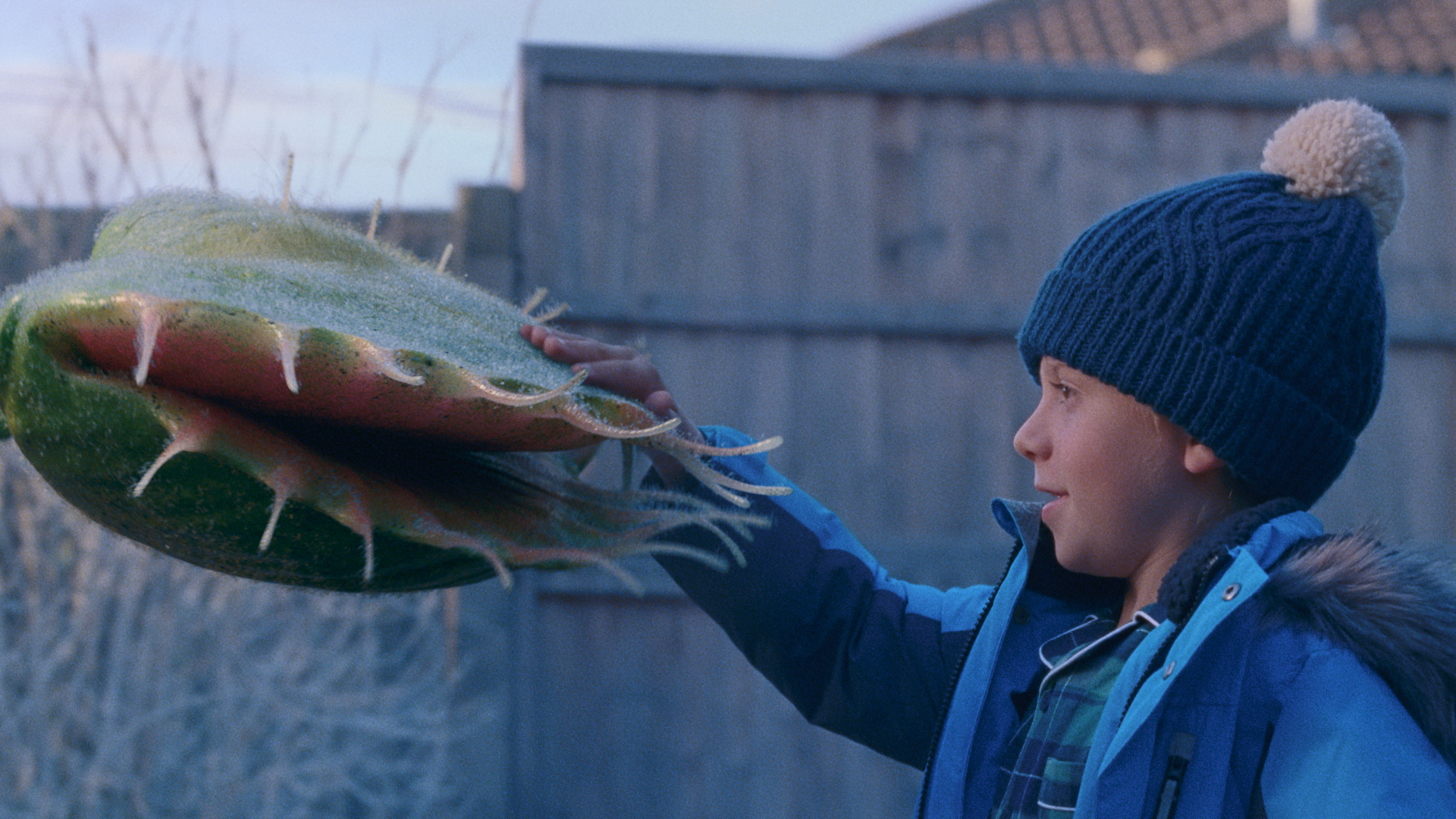 John Lewis Christmas Snapper